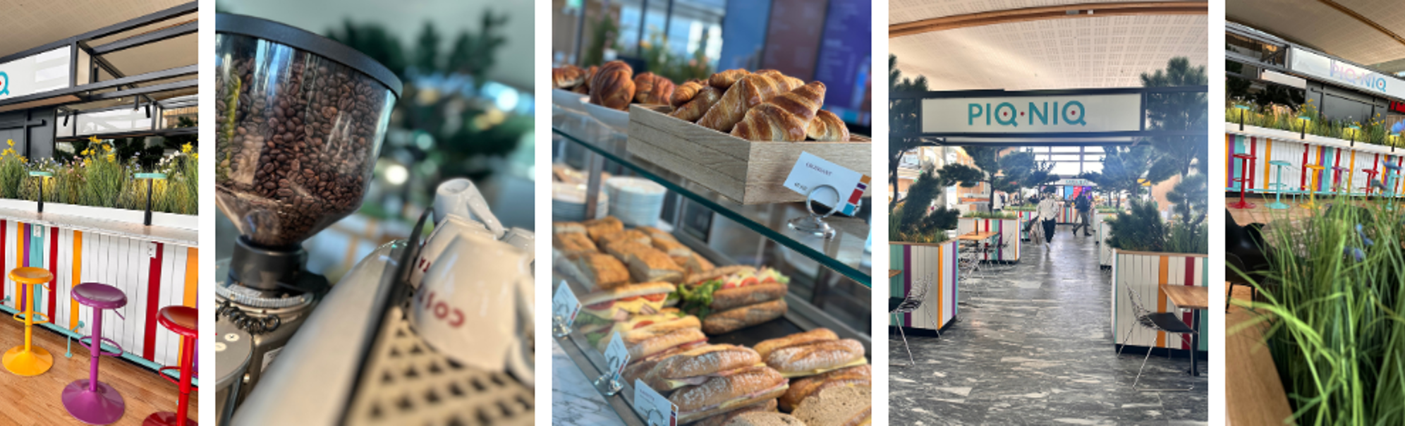 Restaurant PiQniQ med fargerike stolar, kaffebønner, ferske bakervarer og grønne planter