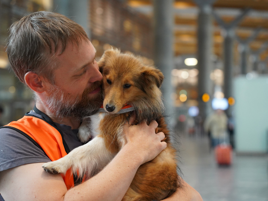 En mann med kort hår som står i t-skjorte og oransje refleksvest inne i terminalen og koser med en liten lysebrun hund som han holder i armene.