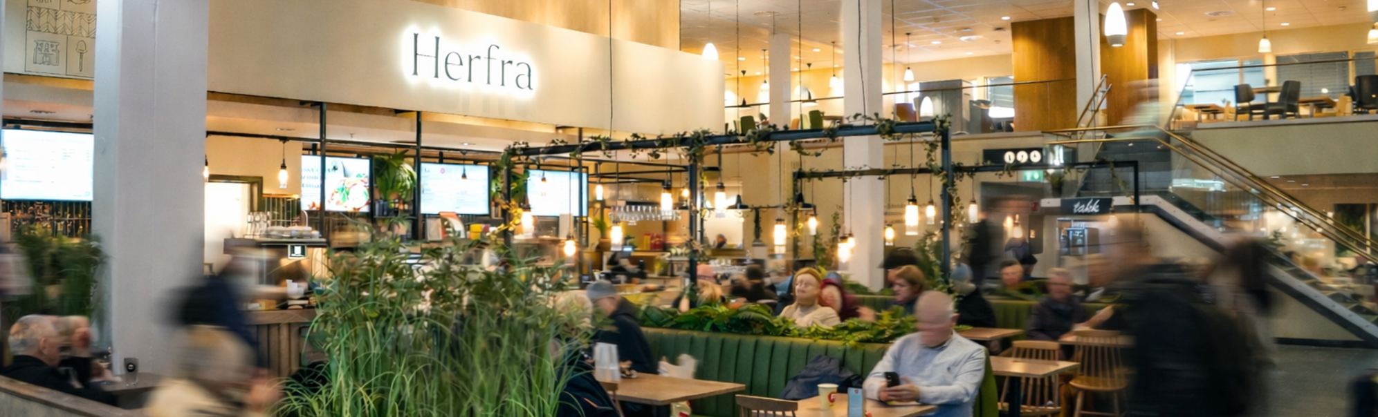 Herfra med folk som koser seg med mat, en grønn plante og koselig belysning